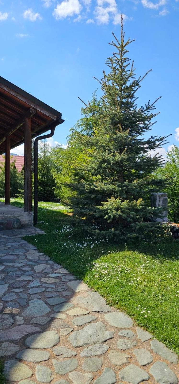 Apartments Greenstone Kolašin Esterno foto